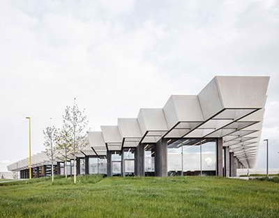 Биыл өңірде 3 262 бас қаңғыбас жануар ауланды