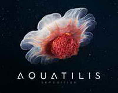 Юлдуз Усмонова очиқ гапирди: концерт, солиқ ва ҳақиқат...